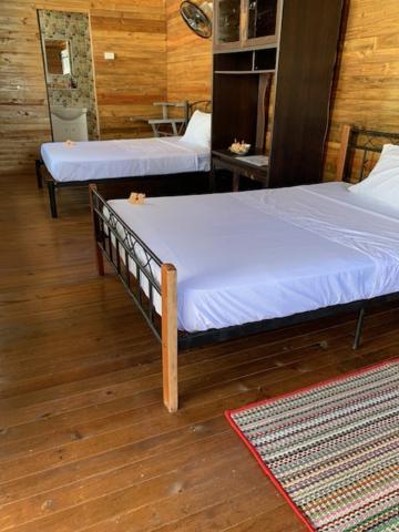 Camp Taveuni Hostel Matei Luaran gambar