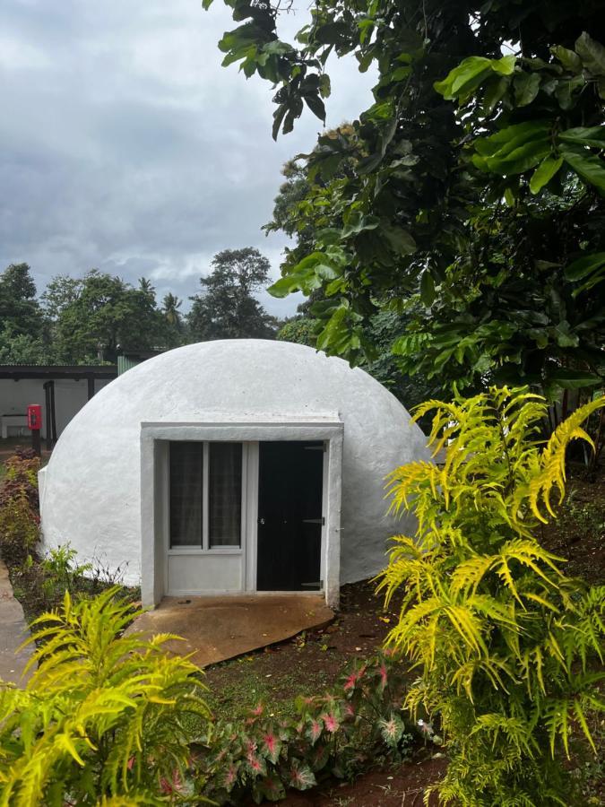 Camp Taveuni Hostel Matei Luaran gambar