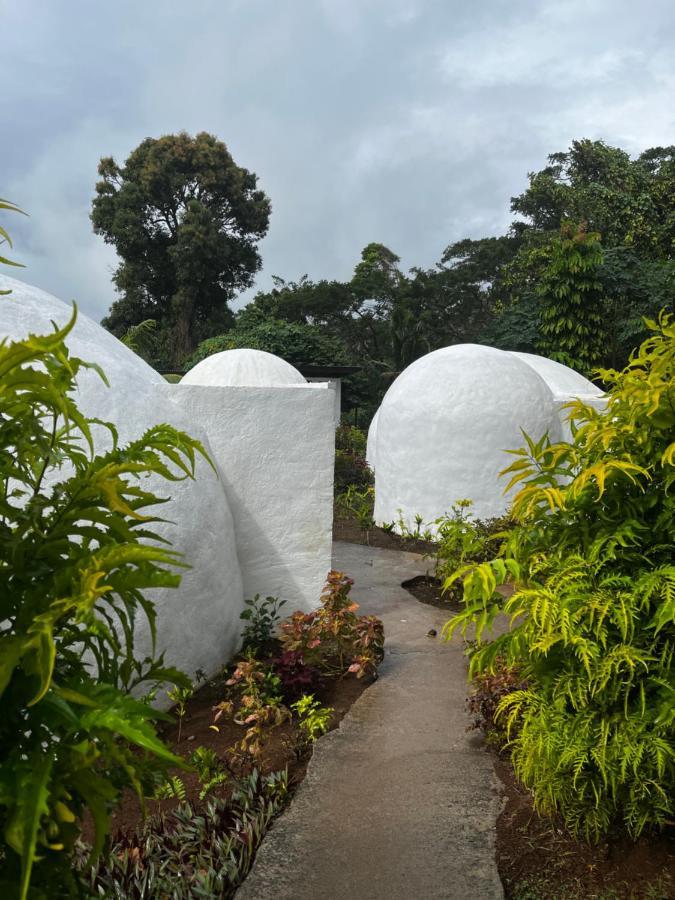 Camp Taveuni Hostel Matei Luaran gambar