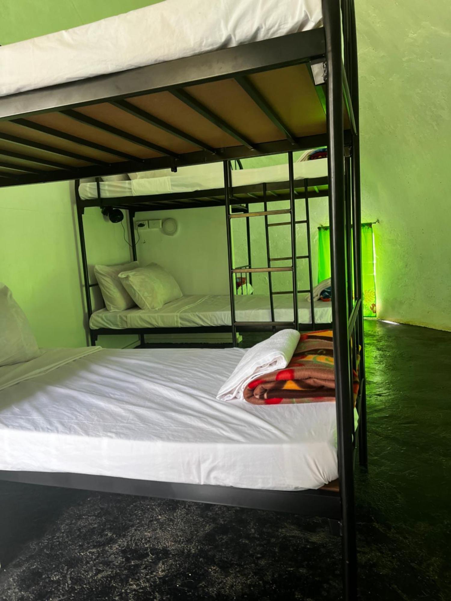 Camp Taveuni Hostel Matei Luaran gambar